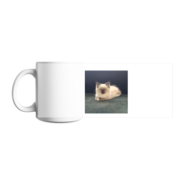 Design your own mug