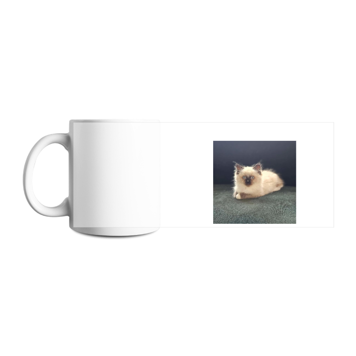 Design your own mug