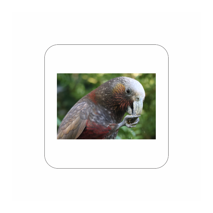 Design your own coaster