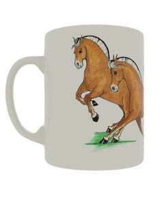 Quadrille Dressage Fjords