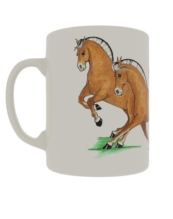 Quadrille Dressage Fjords