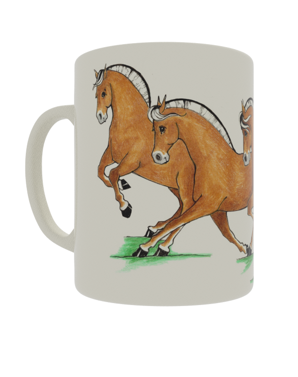 Quadrille Dressage Fjords