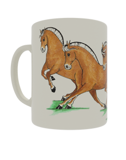 Quadrille Dressage Fjords