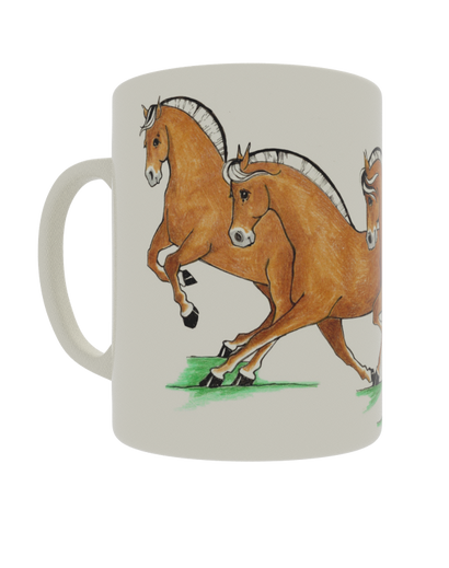 Quadrille Dressage Fjords