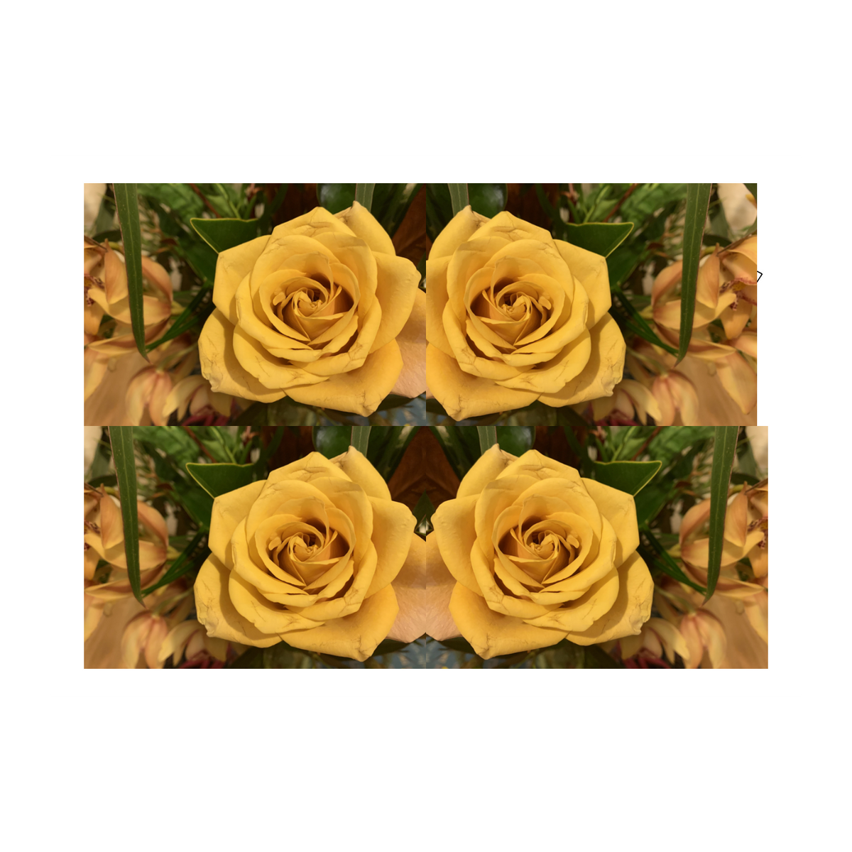 Design Your Own Reusable Cloth Mask