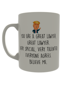 You are a great lawyer