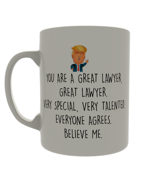 You are a great lawyer