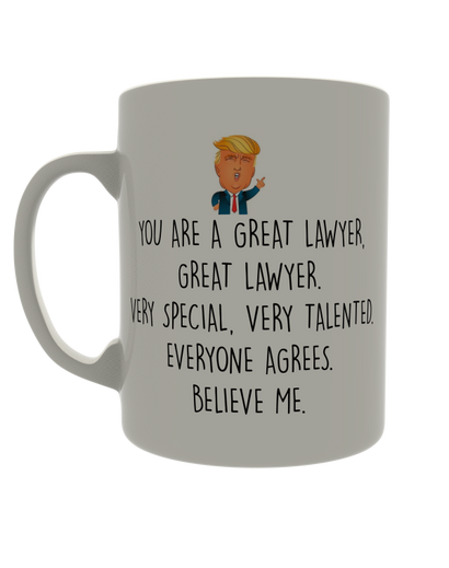 You are a great lawyer