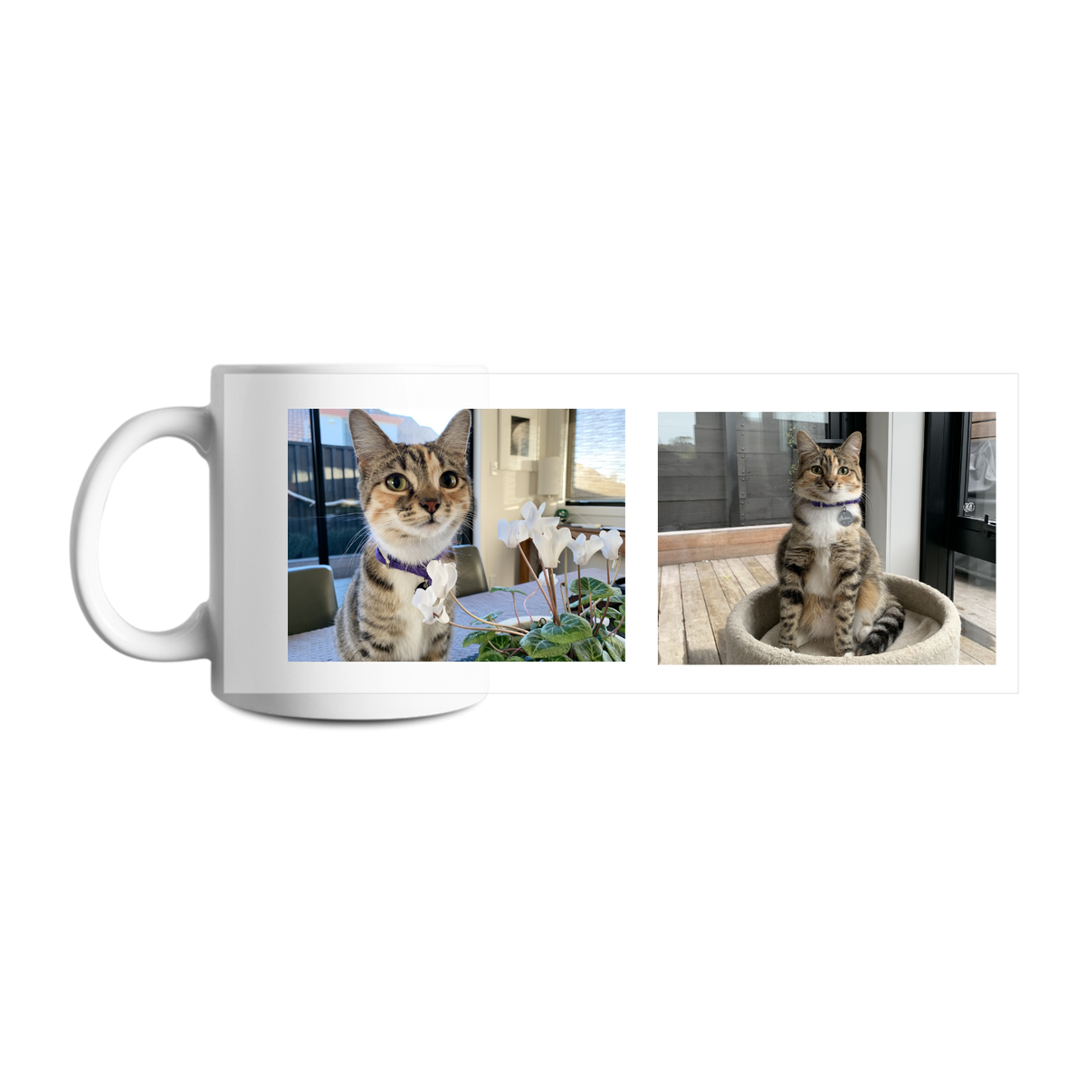 Design your own mug