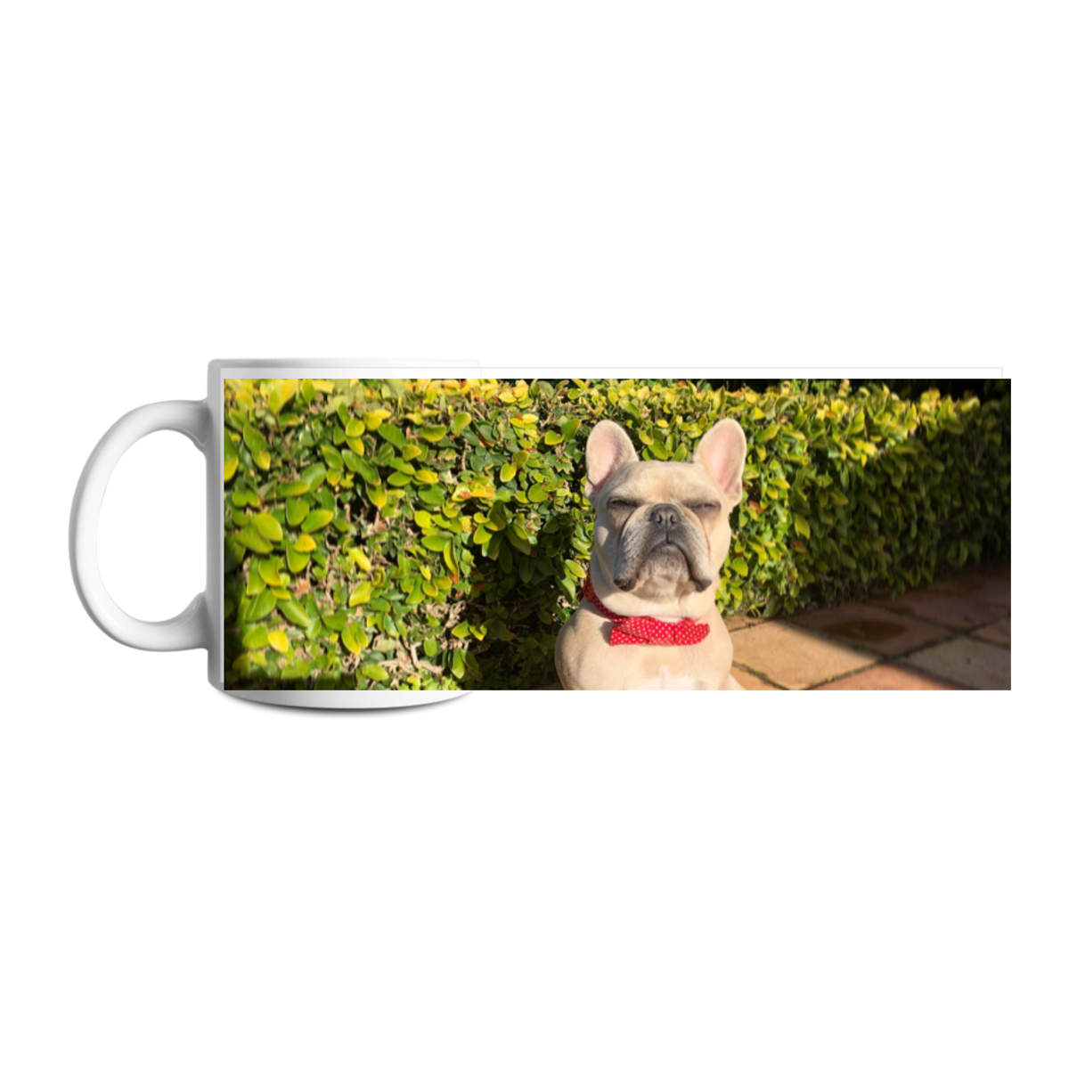 Design your own mug