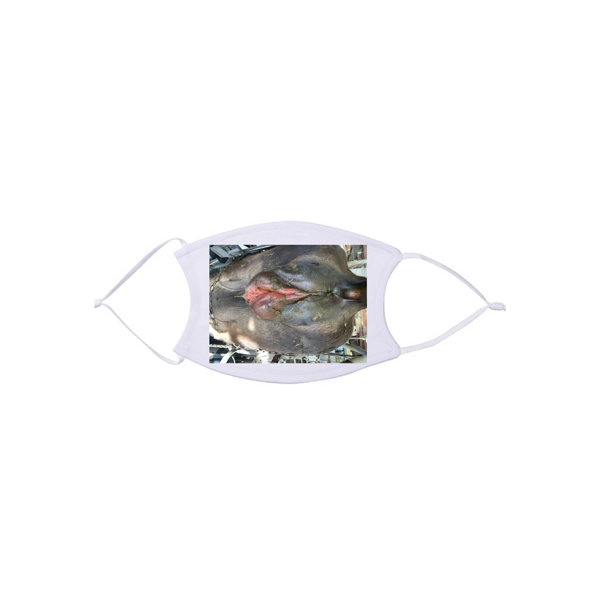 Design Your Own Reusable Cloth Mask