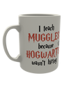 I teach Muggles because Hogwarts wasn't hiring