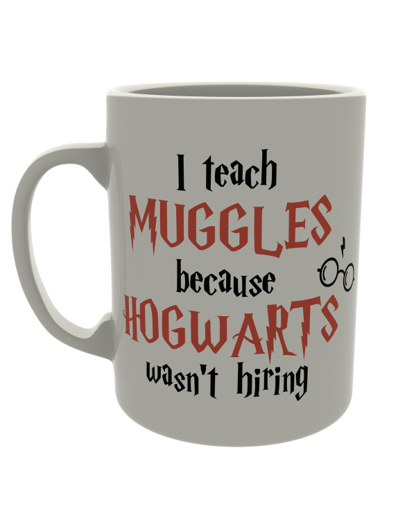 I teach Muggles because Hogwarts wasn't hiring