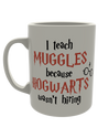 I teach Muggles because Hogwarts wasn't hiring
