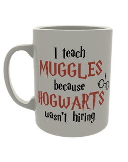 I teach Muggles because Hogwarts wasn't hiring